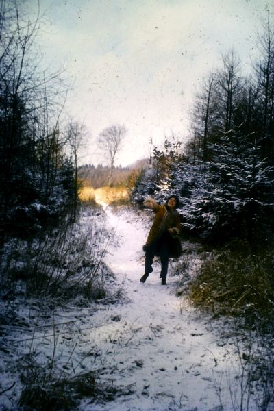 23