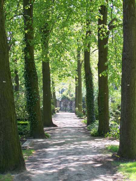 Waldfriedhof Oberschöneweide