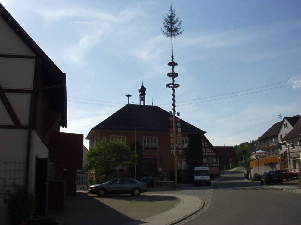 09